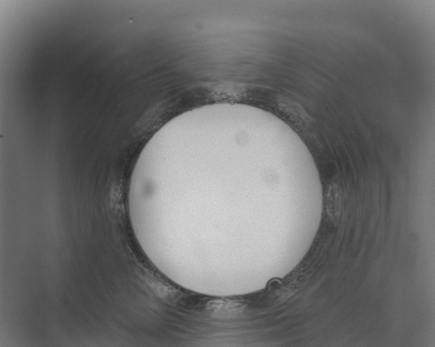 X0000073970714200609111742