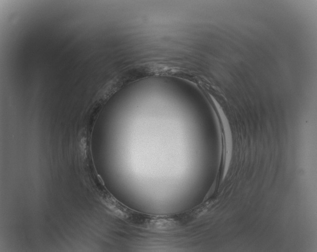 X0000073970716200609111742