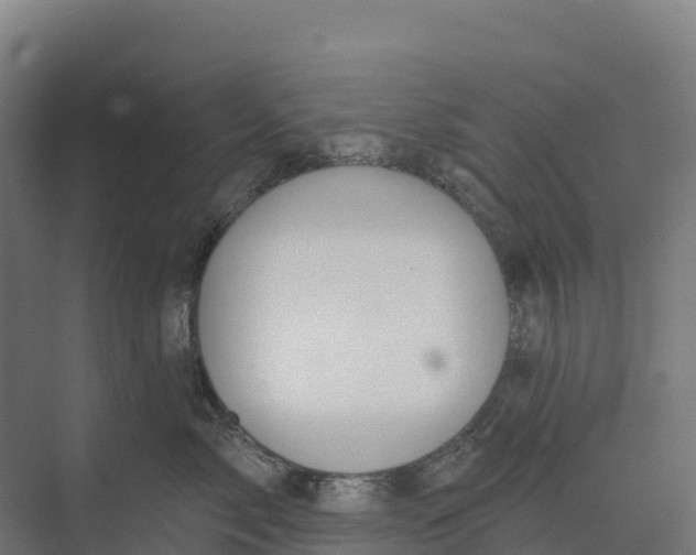 X0000073970717200609111742