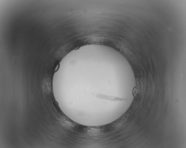 X0000073970718200609111742