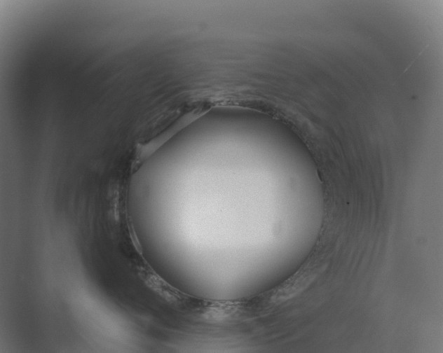 X0000073970720200609111742