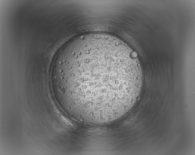 X0000073970721200609111741