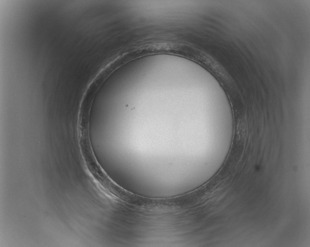 X0000073970722200609111741