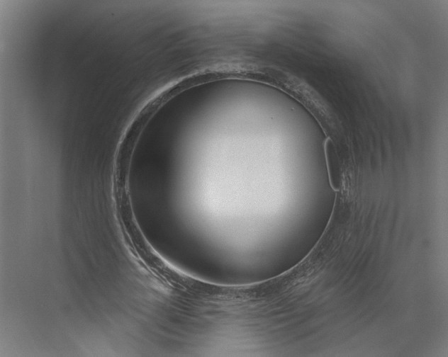 X0000073970724200609111741