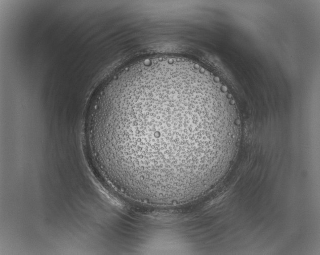 X0000073970725200609111741