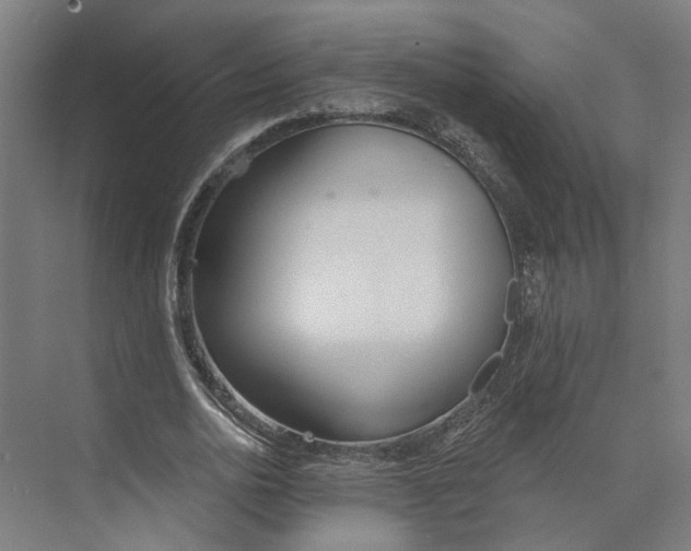 X0000073970726200609111741