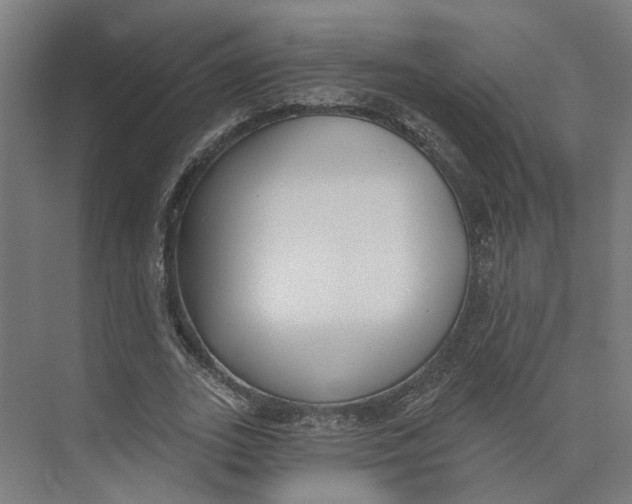 X0000073970727200609111741