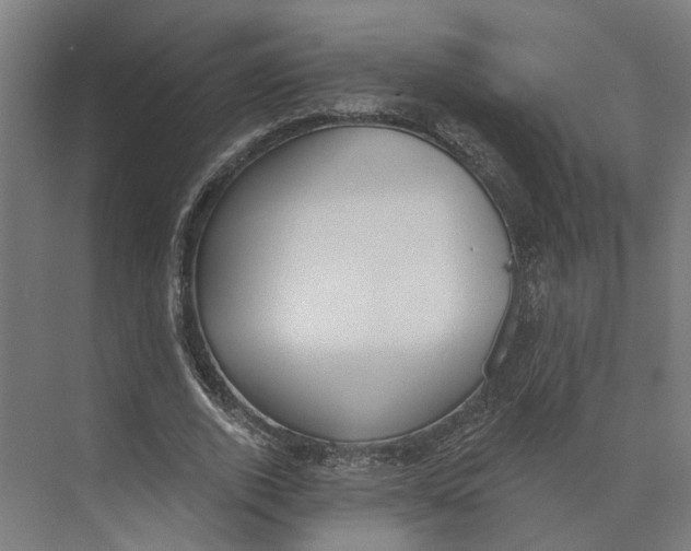 X0000073970728200609111741