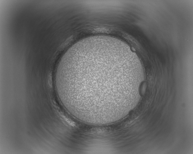 X0000073970729200609111741