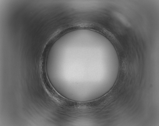 X0000073970730200609111741