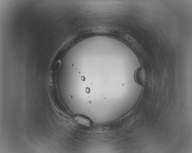 X0000073970731200609111741