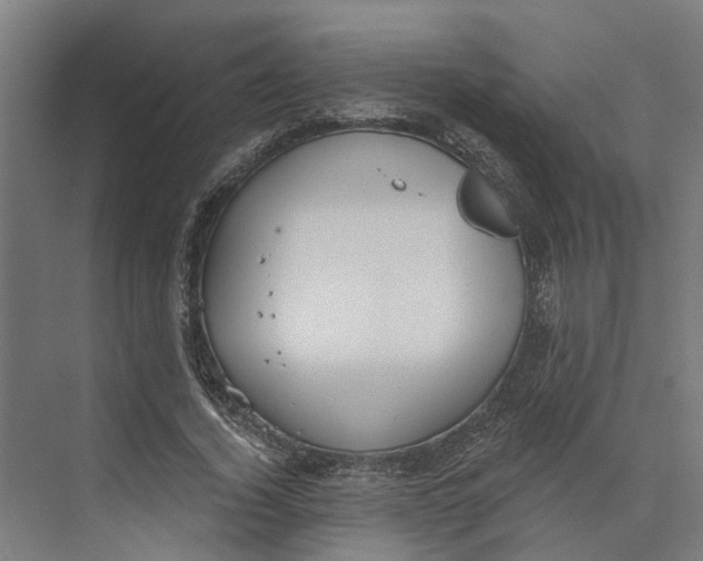 X0000073970732200609111741