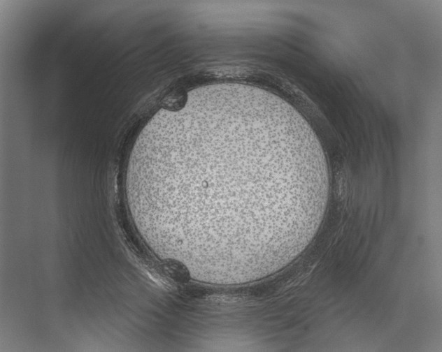 X0000073970733200609111741