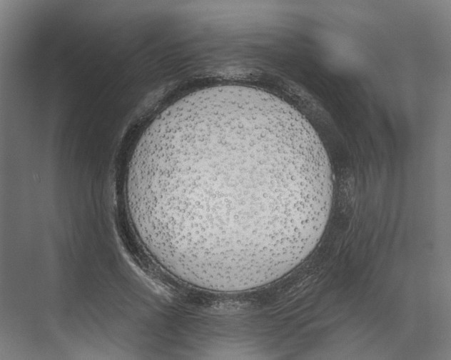 X0000073970734200609111741