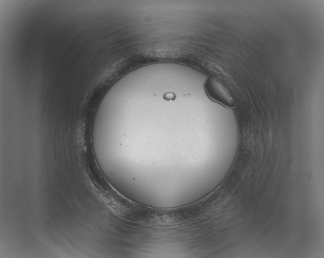 X0000073970735200609111741