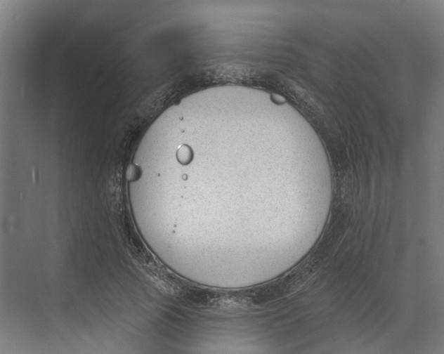 X0000073970737200609111741