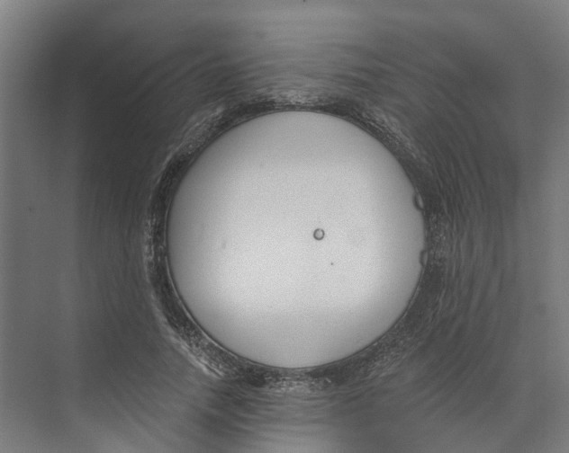 X0000073970738200609111741