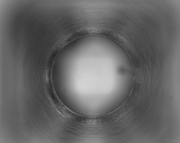 X0000073970740200609111741