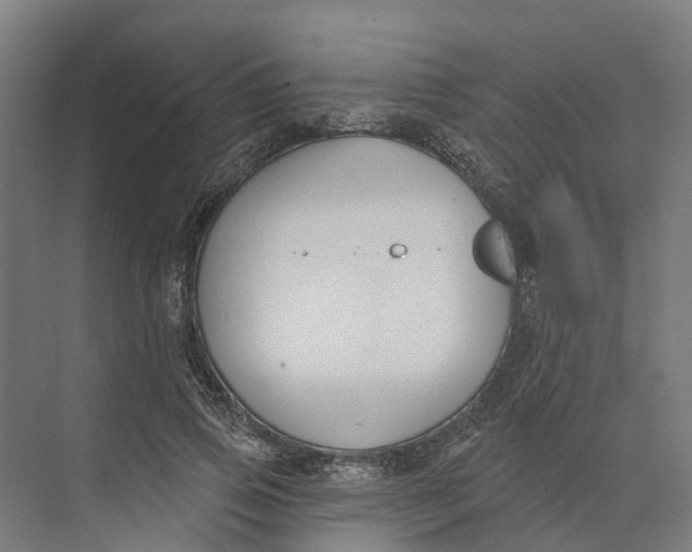 X0000073970741200609111741