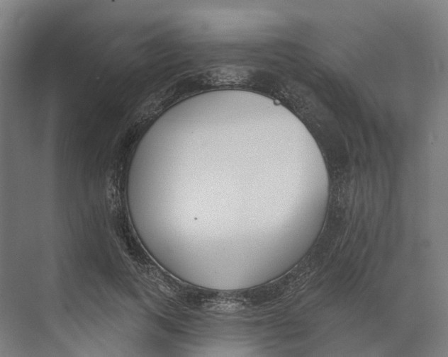 X0000073970743200609111741