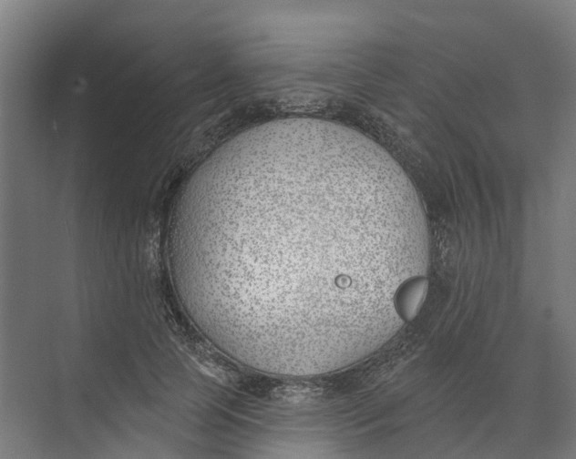 X0000073970745200609111741