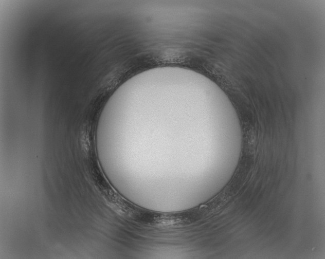 X0000073970746200609111741