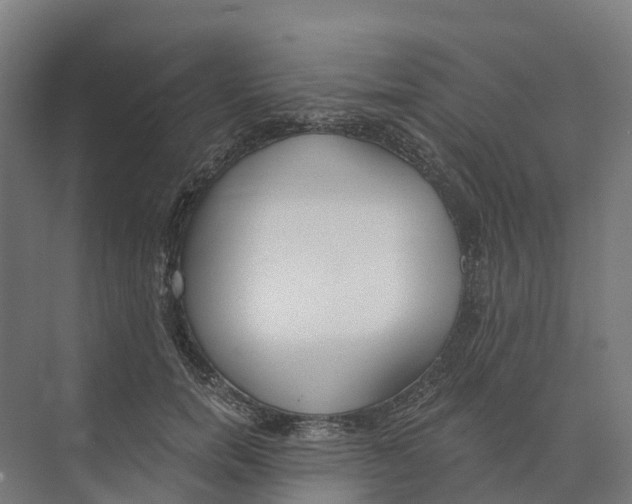 X0000073970750200609111741