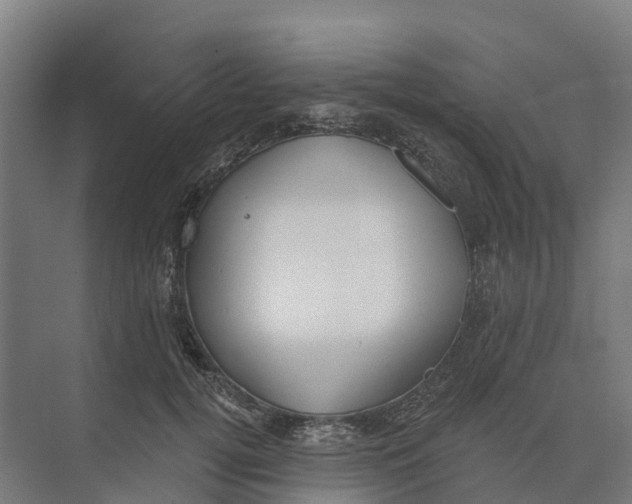 X0000073970752200609111742