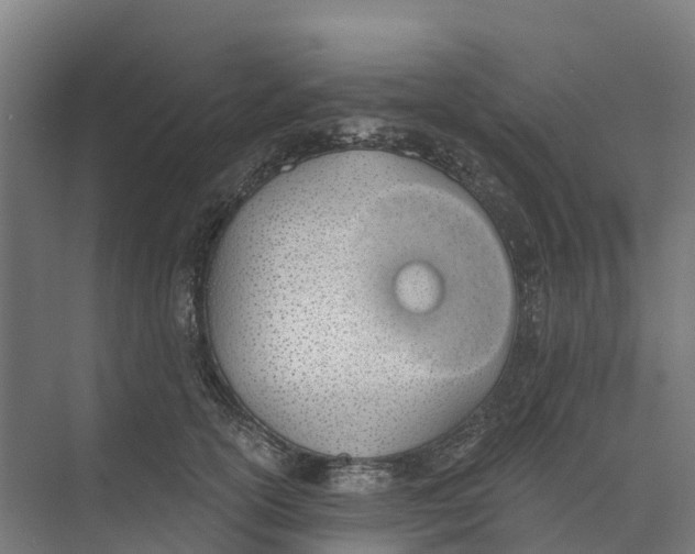 X0000073970754200609111742