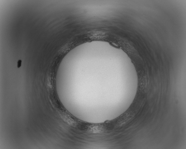 X0000073970755200609111742