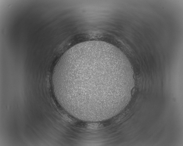 X0000073970757200609111742