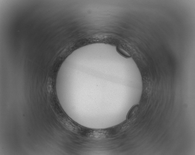 X0000073970758200609111742