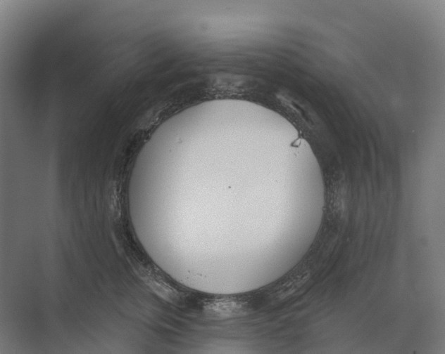 X0000073970759200609111742