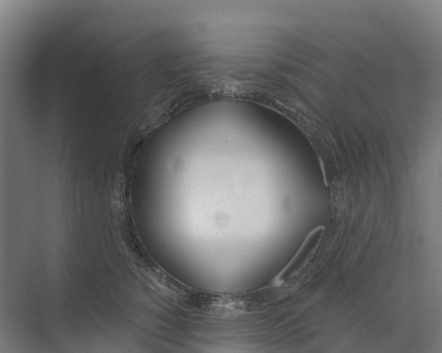 X0000073970760200609111742