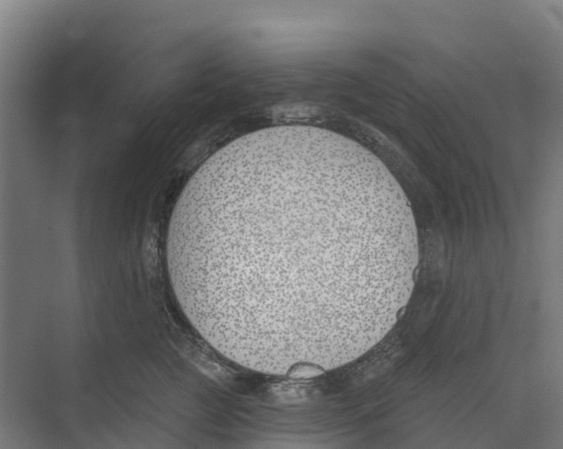 X0000073970761200609111742