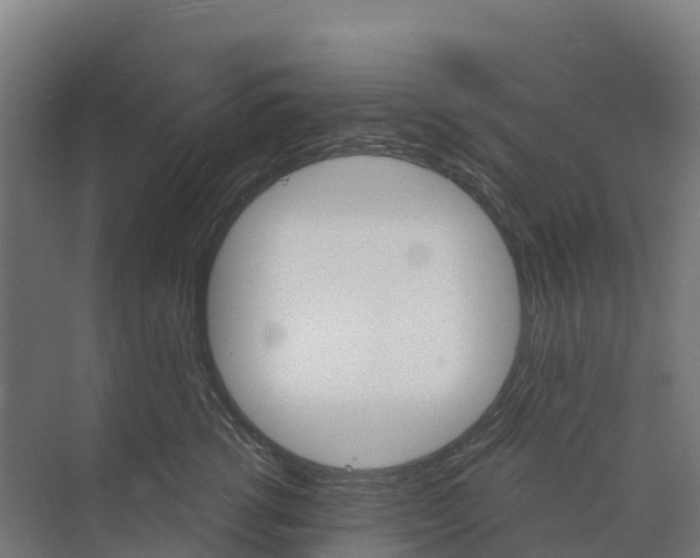 X0000073970762200609111742