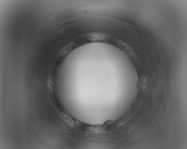 X0000073970763200609111742