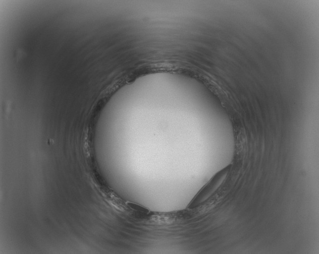 X0000073970764200609111742