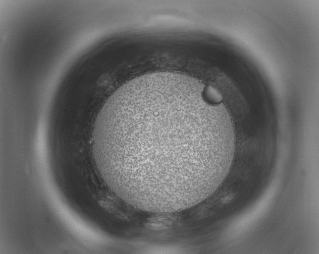 X0000073970765200609111742