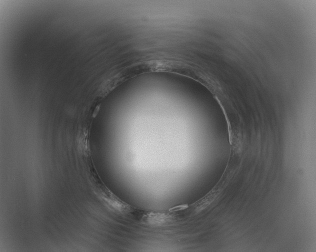 X0000073970766200609111742