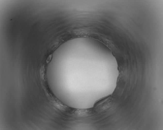 X0000073970767200609111742