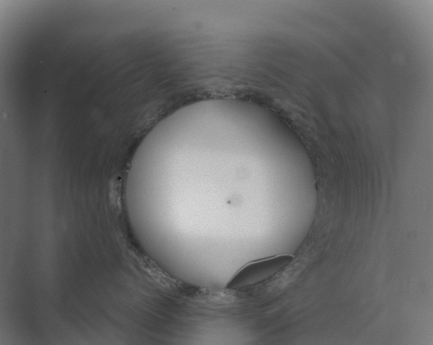 X0000073970768200609111742