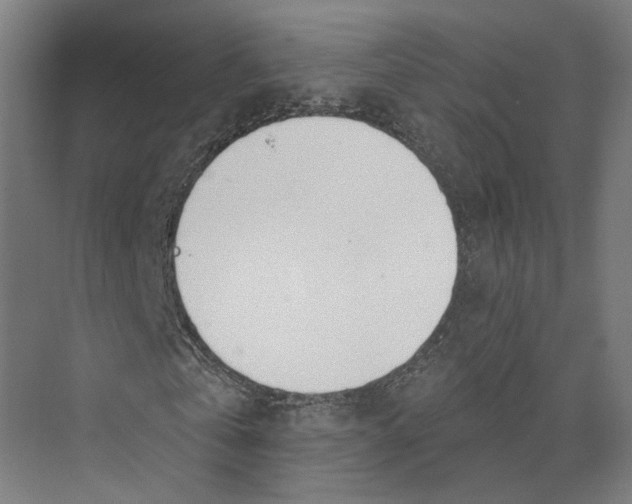 X0000073970769200609111741