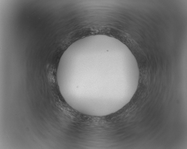 X0000073970770200609111741