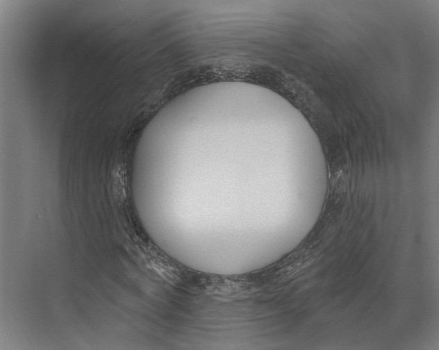 X0000073970772200609111741