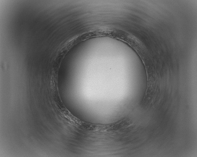 X0000073970773200609111741