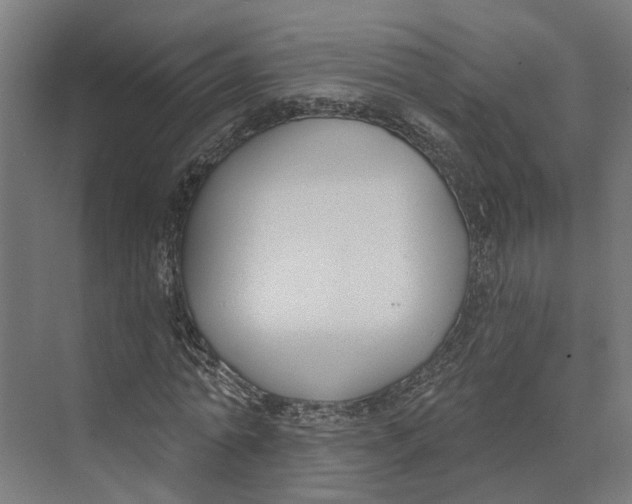 X0000073970774200609111741