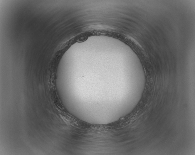 X0000073970775200609111741