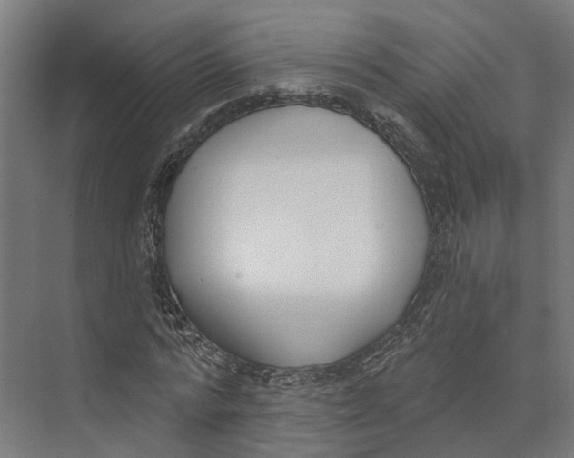 X0000073970776200609111741