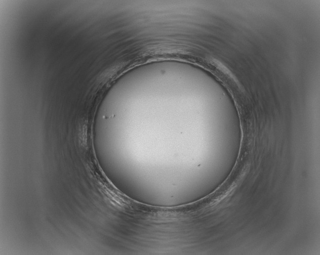 X0000073970777200609111741